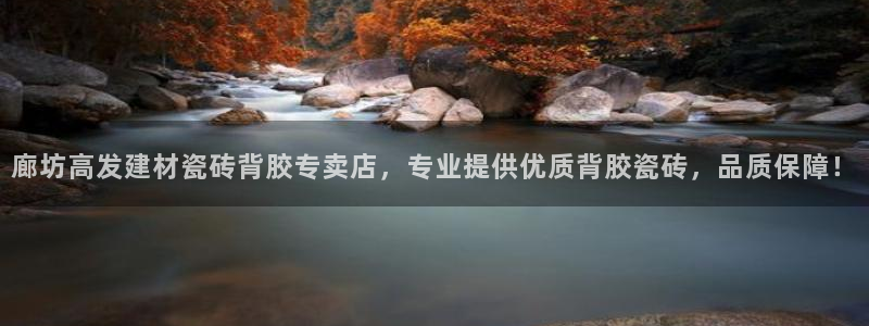 杏鑫平台招商电话号码是多少
