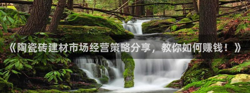 杏鑫平台平台