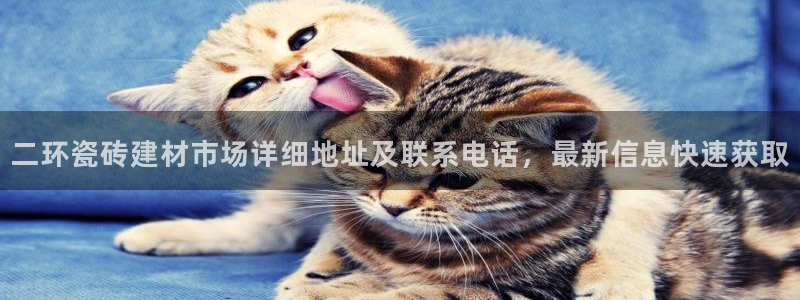 杏鑫娱乐负责人