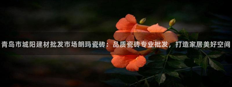 杏鑫平台招商怎么样啊