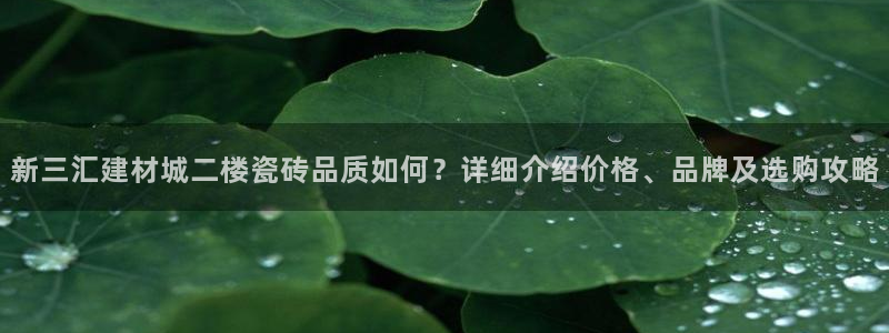 杏鑫官方平台怎么样啊可靠吗