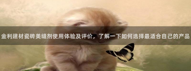 杏鑫平台代理怎么样可靠吗