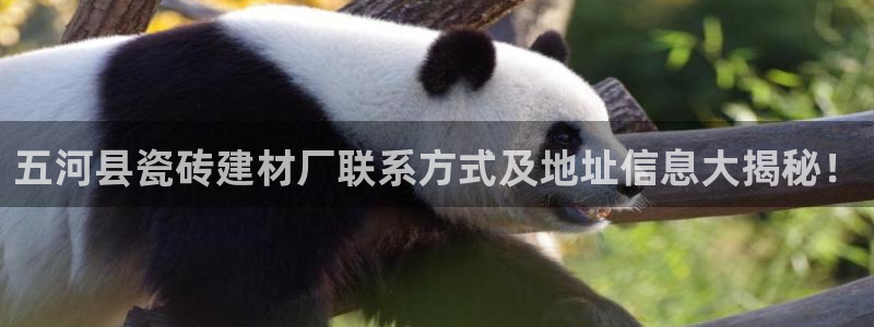 杏鑫平台靠谱吗