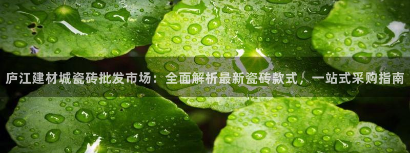 杏鑫平台是黑平台吗是真的吗