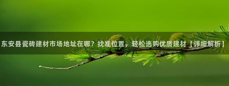 杏鑫平台直属哪个公司