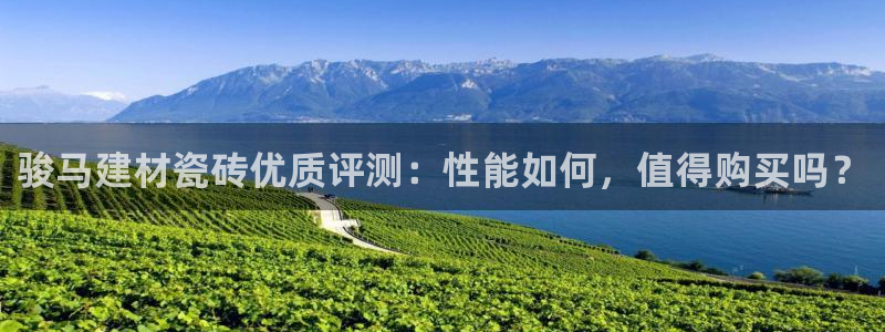 杏鑫平台平台娱乐