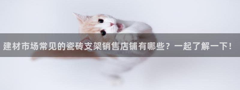 杏鑫官网最新信息新闻报道
