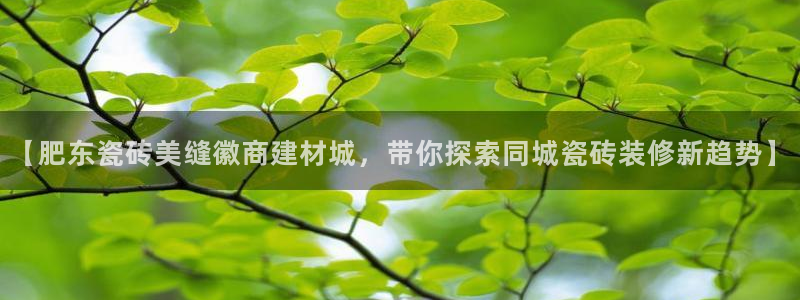 杏鑫平台招商怎么样