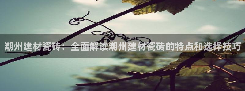 杏鑫平台广7O777