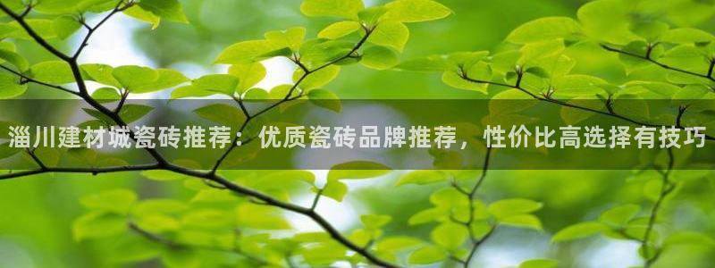 杏鑫平台注册地址