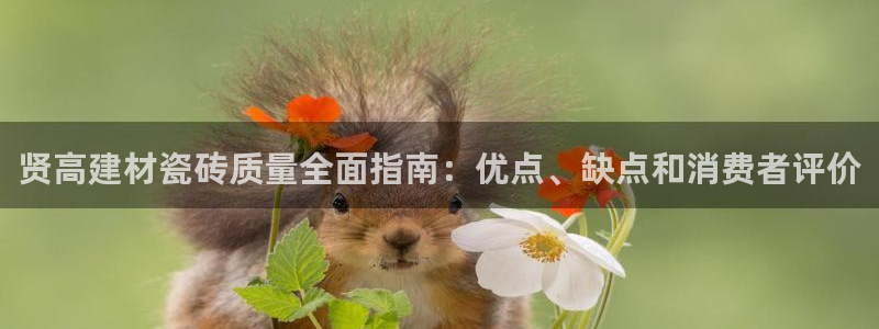 杏鑫娱乐是合法的吗是真的吗