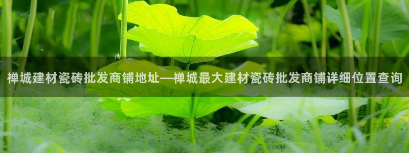 杏鑫平台直属