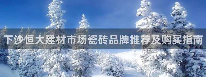 杏鑫登录注册测速