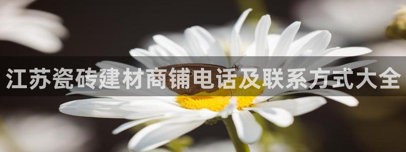 杏鑫测速注册