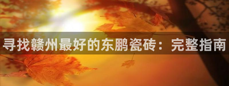 杏鑫平台代理怎么样啊