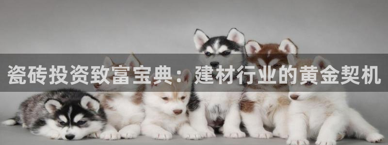 杏鑫平台广7O777