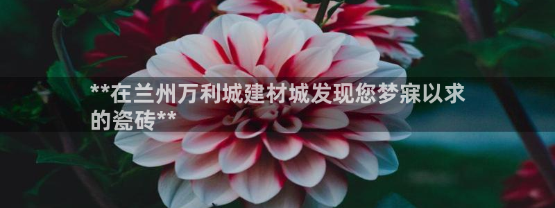 杏鑫平台待遇