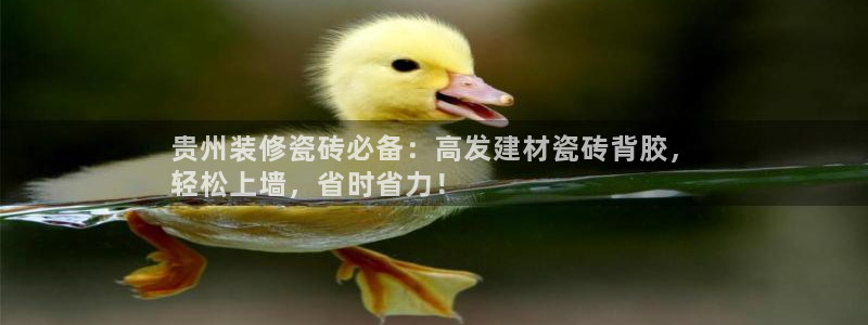 杏鑫平台代理怎么做赚钱