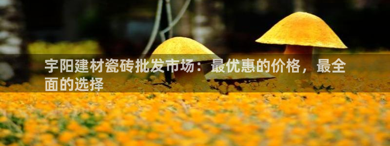 杏鑫官网