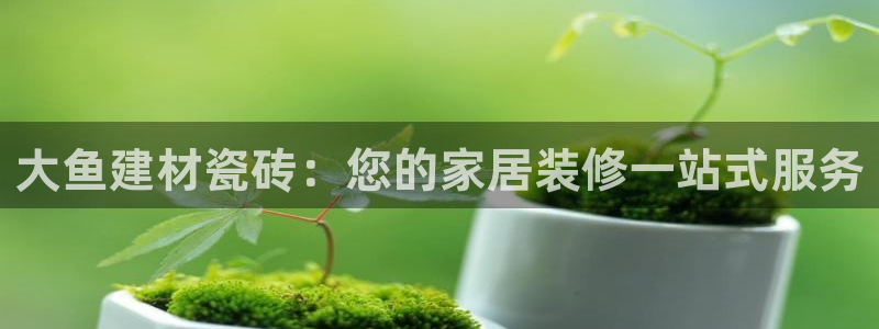 杏鑫平台待遇