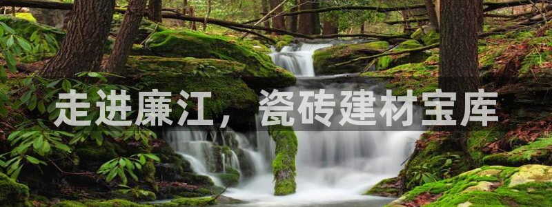 杏鑫平台测速