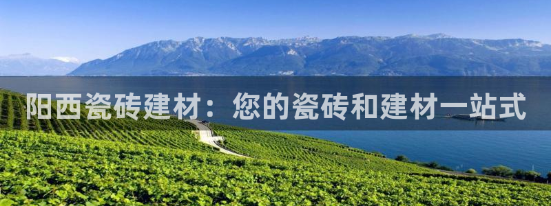 杏鑫手机客户端