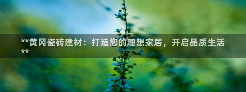 杏鑫平台正规吗