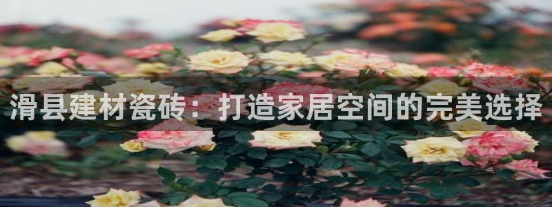 杏鑫平台野马联盟怎么样