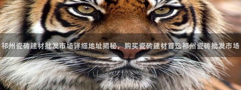 杏鑫平台招商电话号码是多少