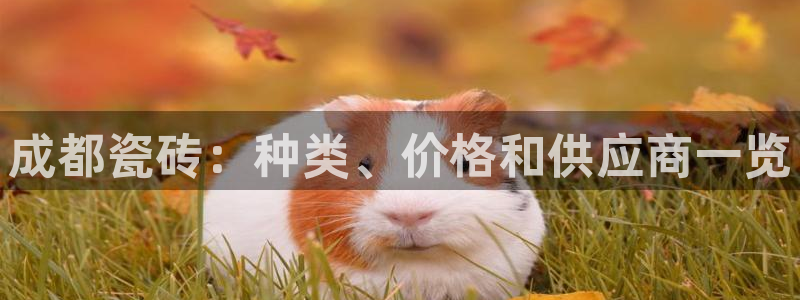 杏鑫平台靠谱吗
