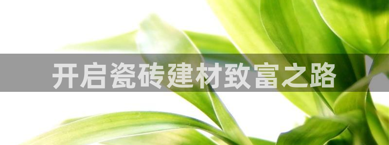 杏鑫手机客户端