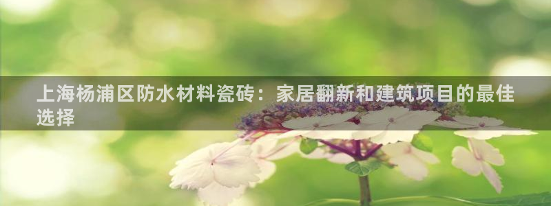 杏鑫招商总代