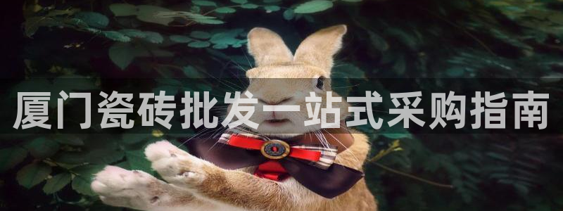 杏鑫平台代理怎么做