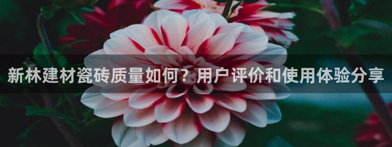 杏鑫娱乐官方网站客户端