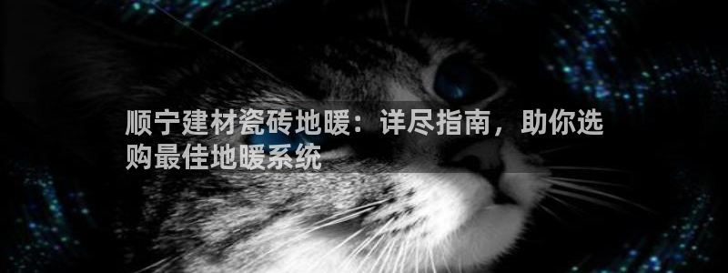 杏鑫平台招商怎么样啊