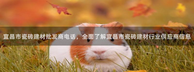 杏鑫平台怎么样黑钱吗是真的吗还是假的