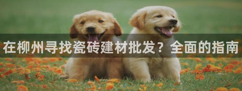 杏鑫平台登录注册