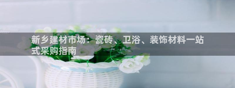 杏鑫平台怎么样