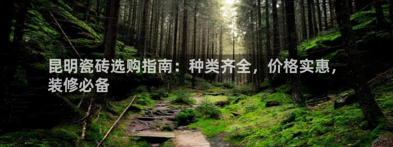 杏鑫娱乐负责人