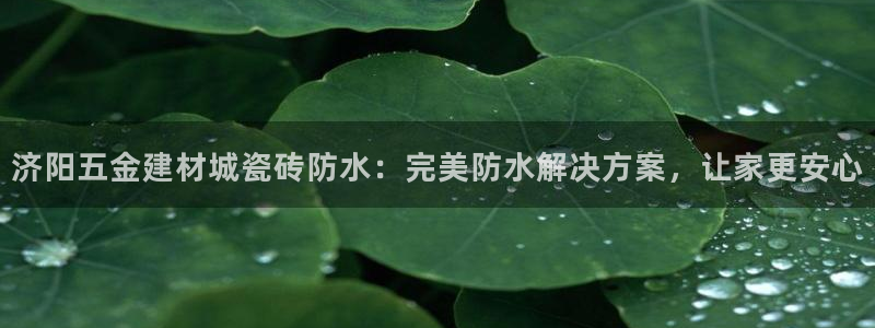 杏鑫平台代理怎么做的