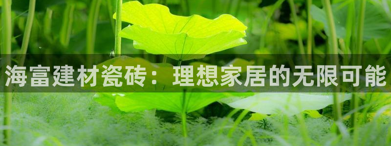 杏鑫注册平台官方网站